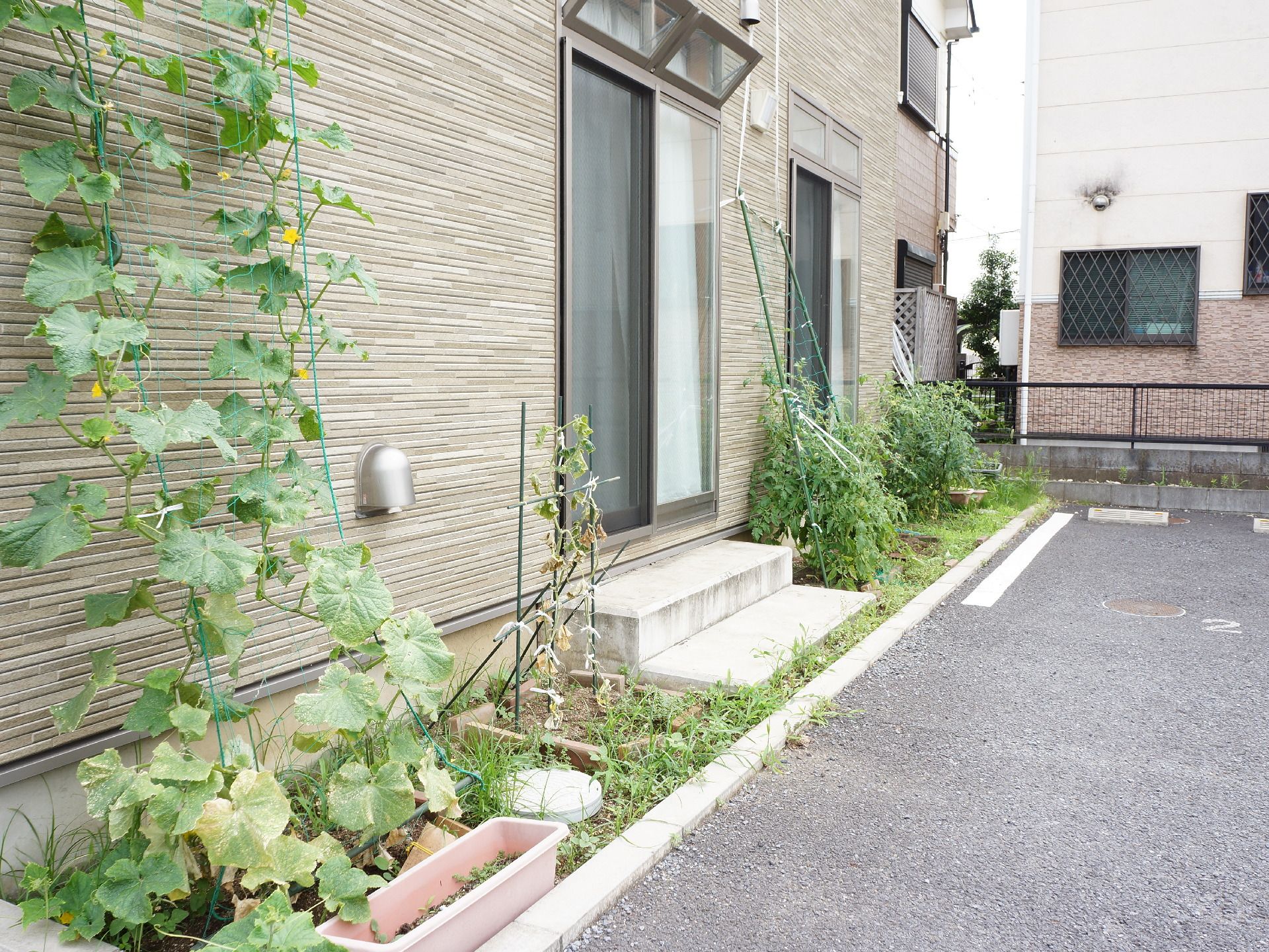 1階の菜園スペース。部屋から出入りができるように階段が設置されており便利。好きな野菜や花を育てることができる。