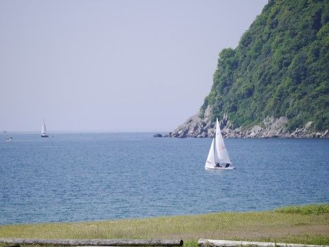 海に浮かんでいる白いヨットと、その向こうに見える緑豊かな島
