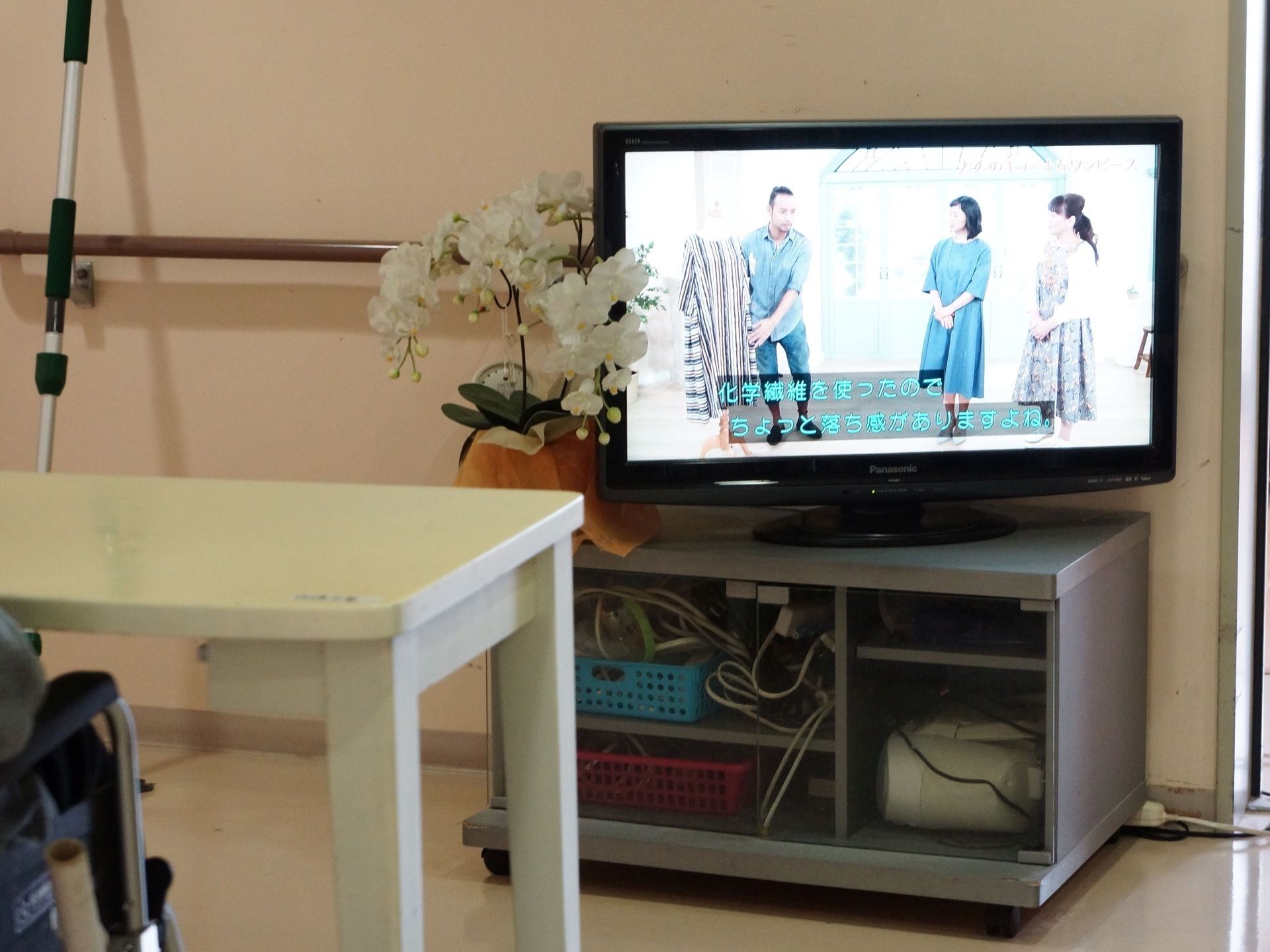 大勢で楽しむことができるテレビが共有スペースに置かれている。すぐ、隣に花の鉢植えがあり、華やかな雰囲気である。