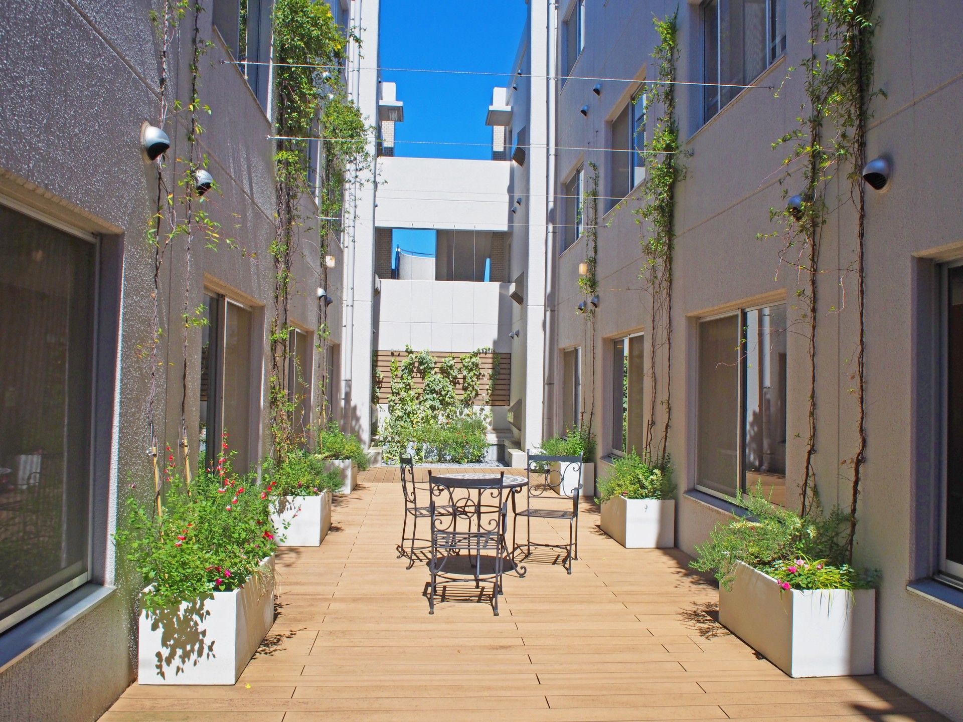 通路には花や植物が植えられている中庭