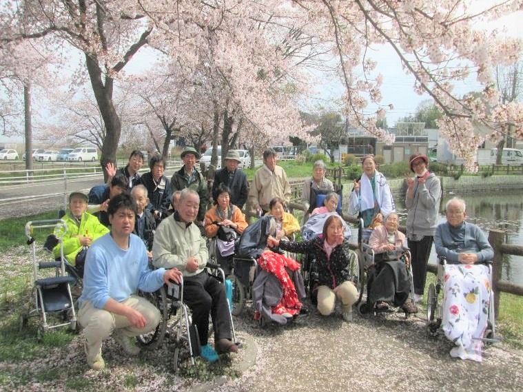 お花見イベントの集合写真。桜が満開で入居者もスタッフも笑顔。