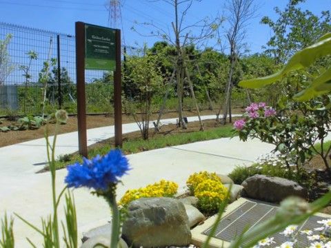 青や黄色の花が咲く散歩道