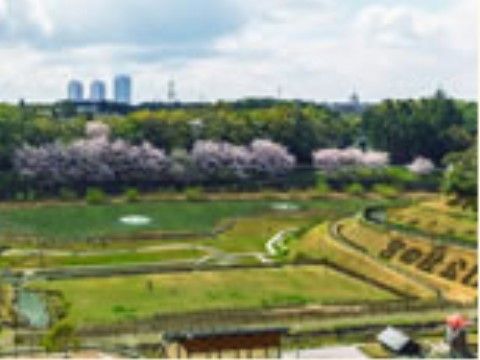 自然でいっぱいの宮の杜公園