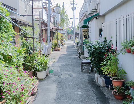 緑豊かな通路