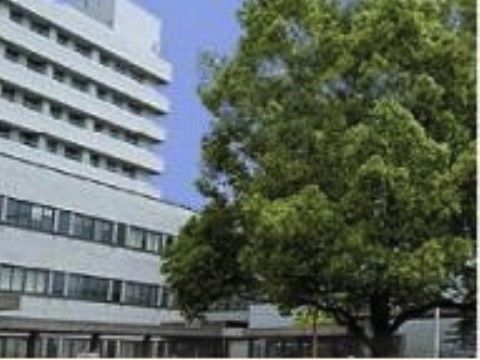 当施設からほど近い場所にある大学病院。白い外壁のとても大きな建物である。敷地内には大きな木が植えられている。