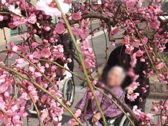 桜の下でのひととき