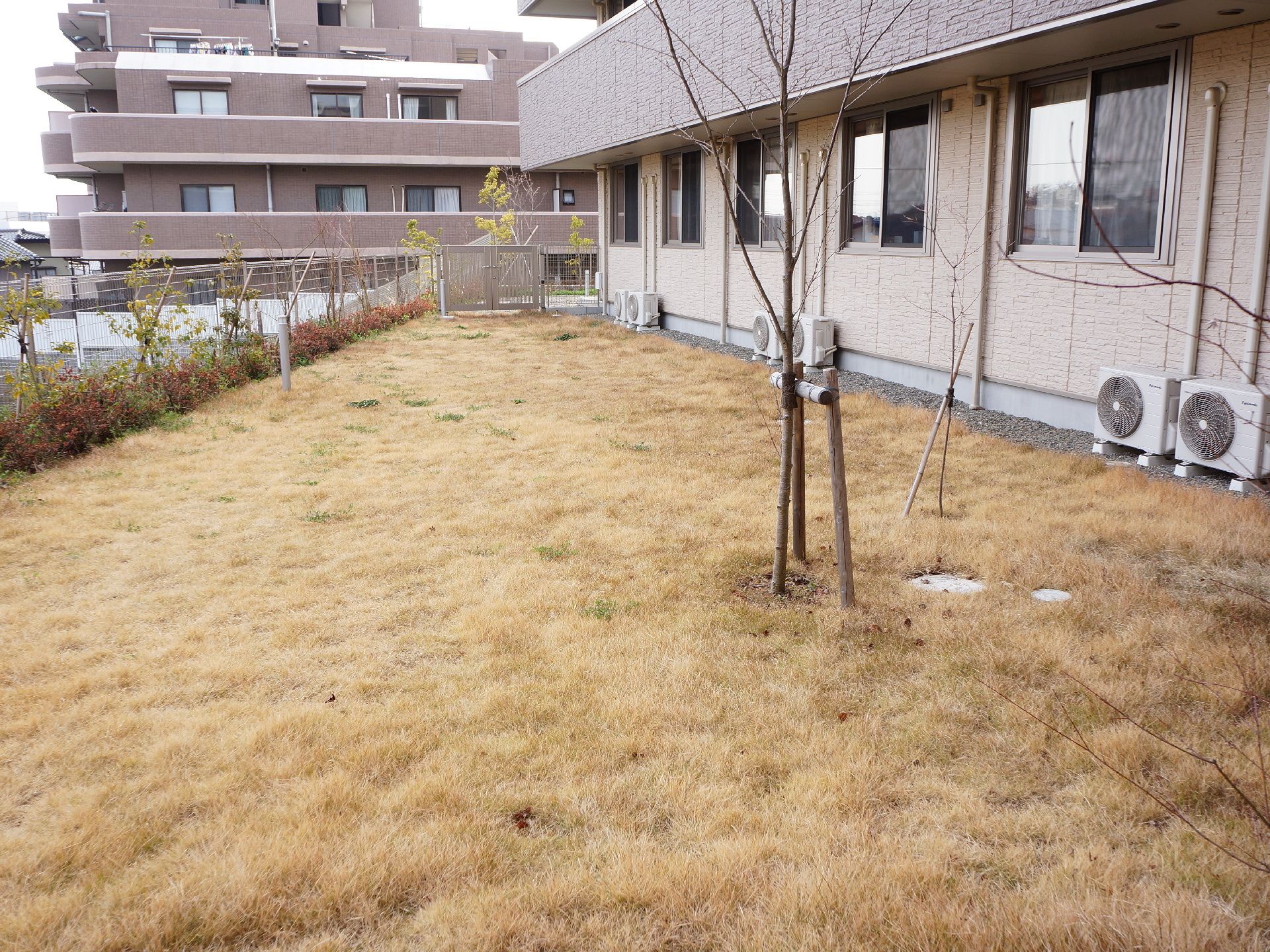 施設にある庭は芝生になっており、庭を歩くときにコンクリートに比べて足の負担が少なく居住者にやさしいつくりだ。