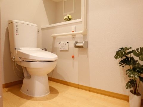 「メディカルケア センチュリーハウス溝の口」トイレ。安心のため手すりが付いており、小さな観葉植物も置かれています。