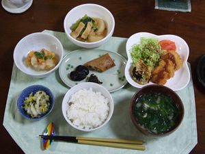 ヒレカツと春巻きとサラダ、野菜の煮物とごはんと味噌汁