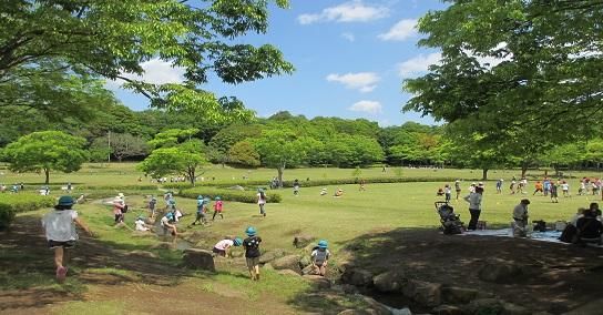 施設の近くには森と池のある自然豊かな公園がある。とても広々とした公園なのでゆったりと散歩が楽しめる。