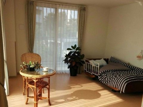 観葉植物やテーブル、ベッドなどが置かれている日当たり良好の部屋