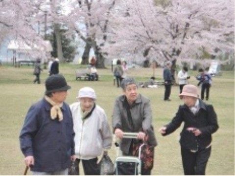 桜が満開に咲く公園で、散歩を楽しむ４人の女性入居者様