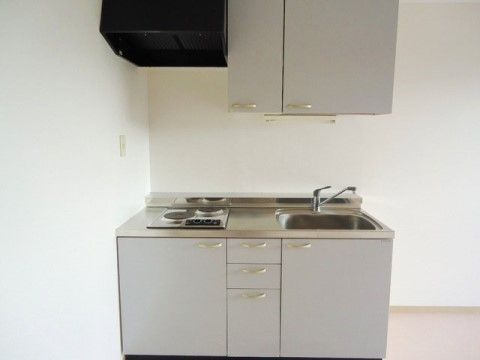 機能的なキッチンには２口の電磁調理器、作業台、流しが並ぶ。頭上にはレンジフードと吊り棚収納があり、下にも収納がある。