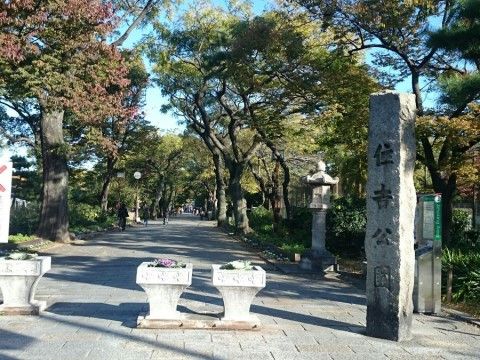 広い通路の脇には、樹々が豊かに茂り、四季折々の風景を楽しむことができる。自然を眺めながらゆっくりと過ごすことができる。