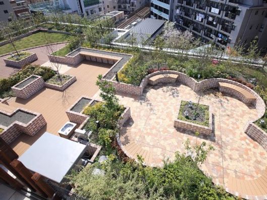 屋上庭園