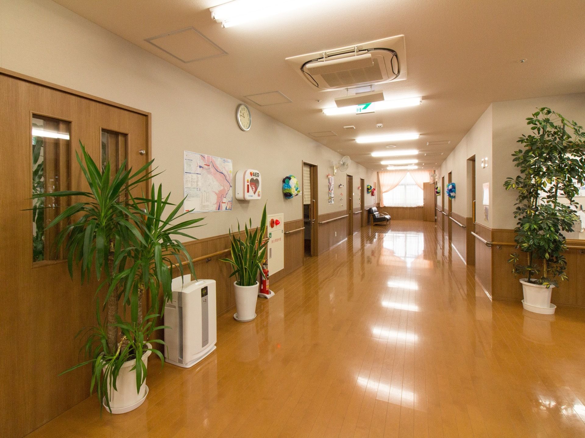 広々とした通路である。木製の腰板が貼られており、上質な空間がただよっている。観葉植物も置かれている。