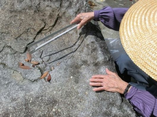 レクリエーション