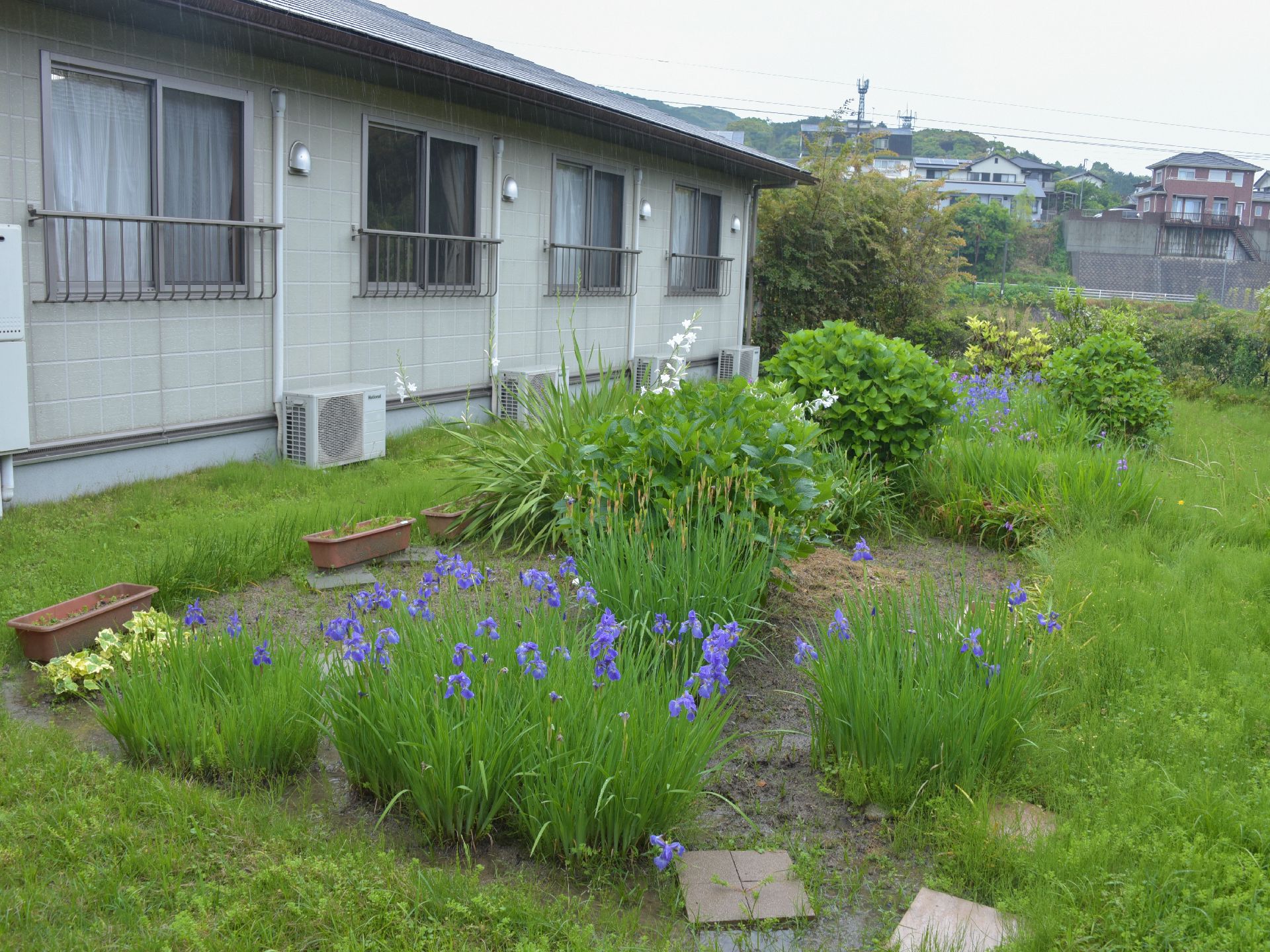 施設は1階建てで窓が並んでいて、下には室外機がある。庭には自然な感じで紫や白い花が植わっていて、プランターも置いてある。