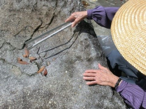 石の上に落ちた枯葉をゴミばさみで取ろうとしている麦わら帽子の高齢者