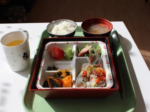 弁当箱に詰められたおかずやサラダ、それに白飯、味噌汁が添えられた食事例