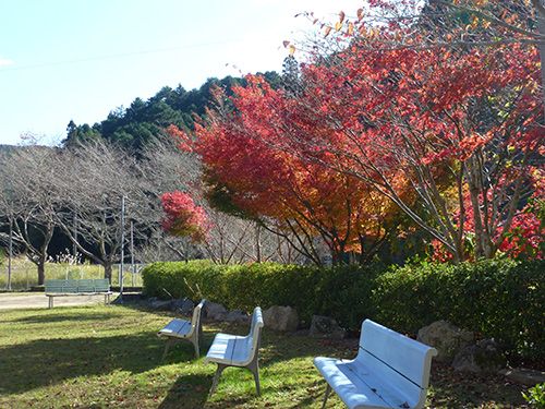 紅葉が美しい庭園