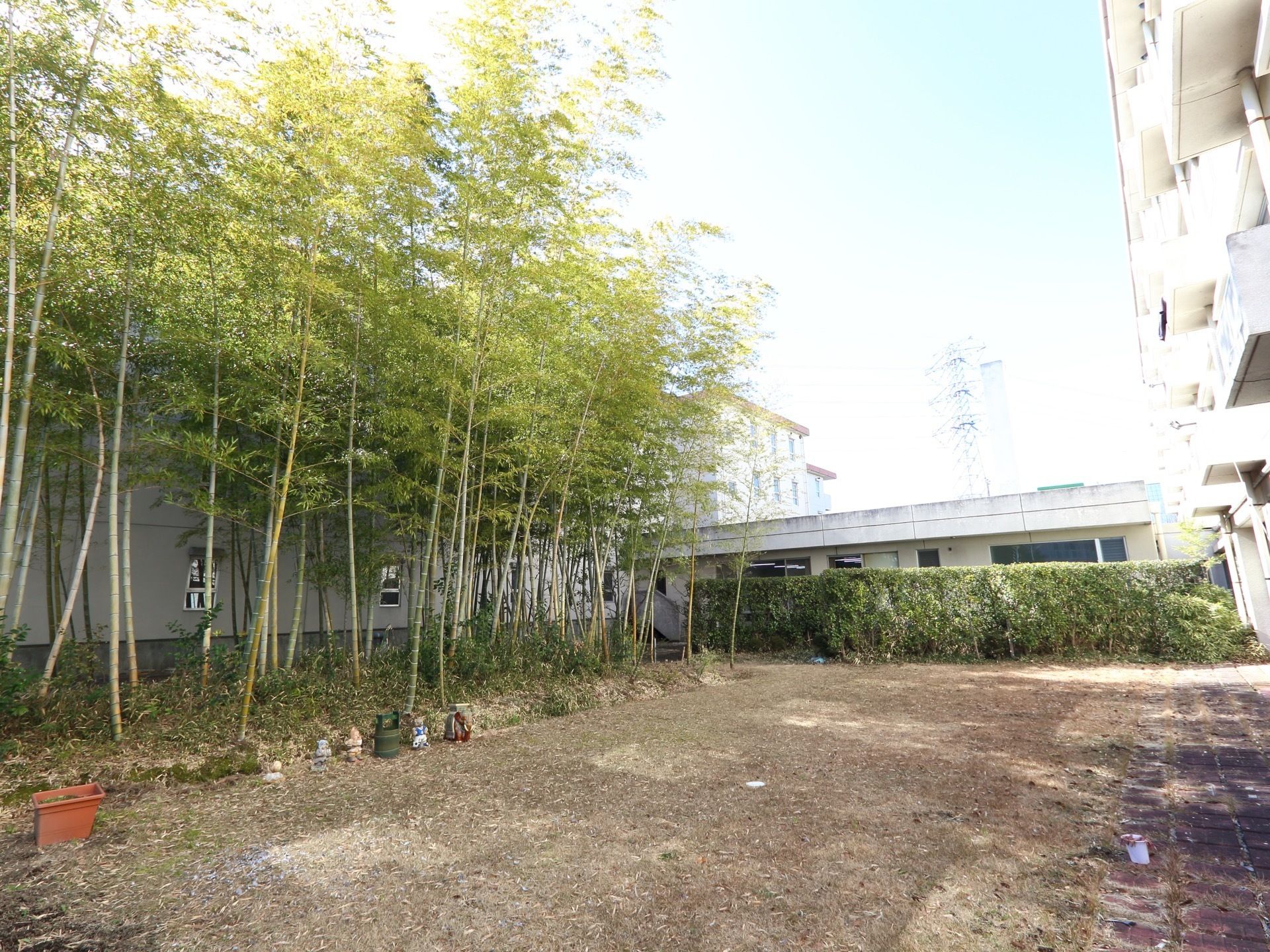 竹林と、芝生の庭園。建物のベランダから、この庭園を見下ろすことができる。この庭園があることで、建物同士が隣接していないので、狭苦しさがない。