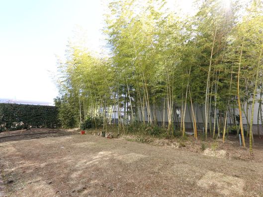 スライドショー