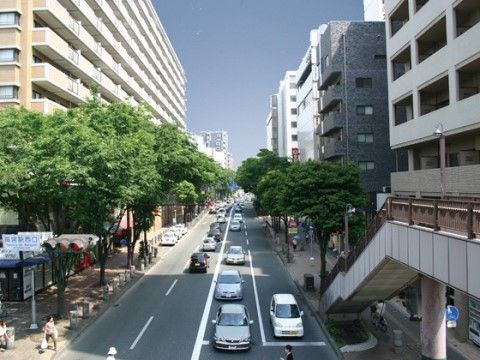 本施設は並木の美しい大きな道路に面している。最寄駅からも徒歩圏内なので来訪者様が訪れやすいロケーションである。