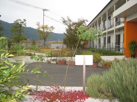 中庭には多彩な種類の木々や草花が植えられており、豊かに茂った植物を観賞しながら散歩をすることができる。屋根はなく、非常に開放的である。