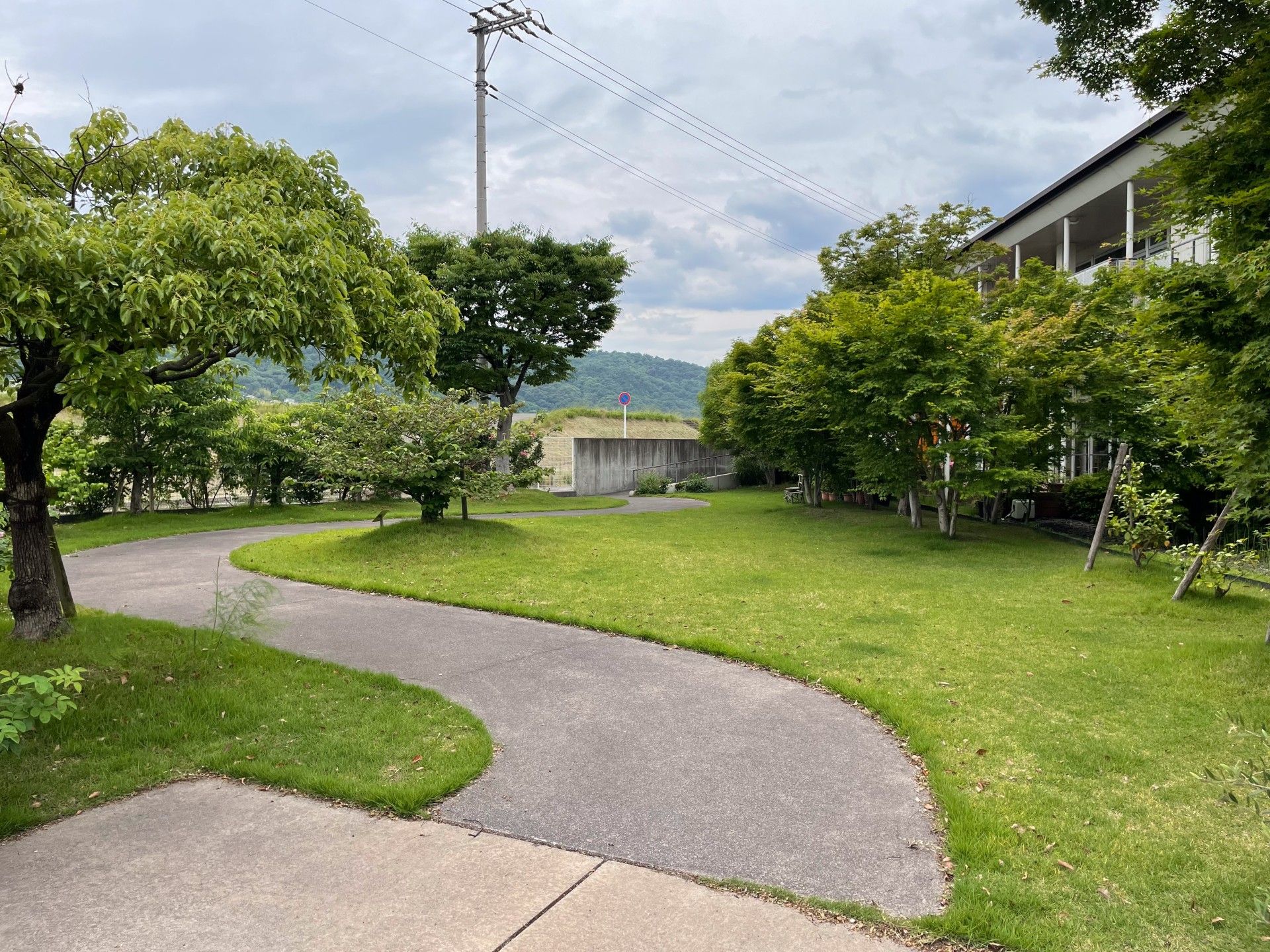 緑豊かな庭園の小道