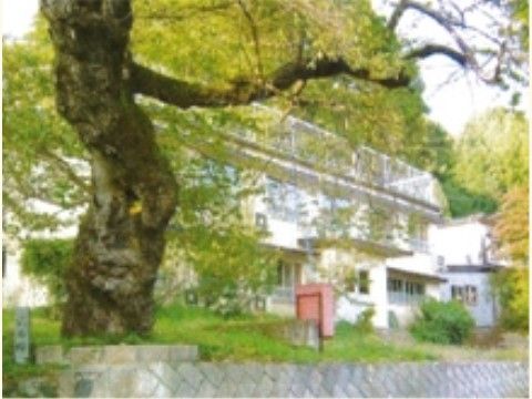 建物前に植えられた木々