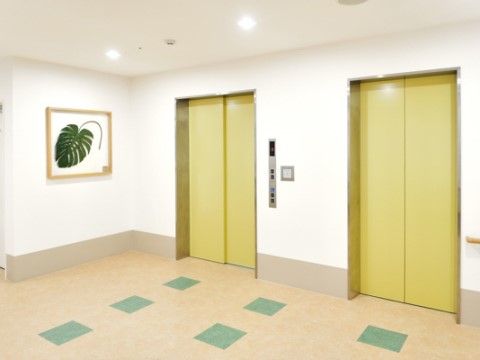 緑色のドアが設置された2台のエレベーター