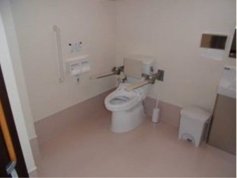 トイレットペーパーが2つ並んだホルダーの横には、縦型の手すりとナースコールが付けられている。便器の横にはダストボックスが置かれている。