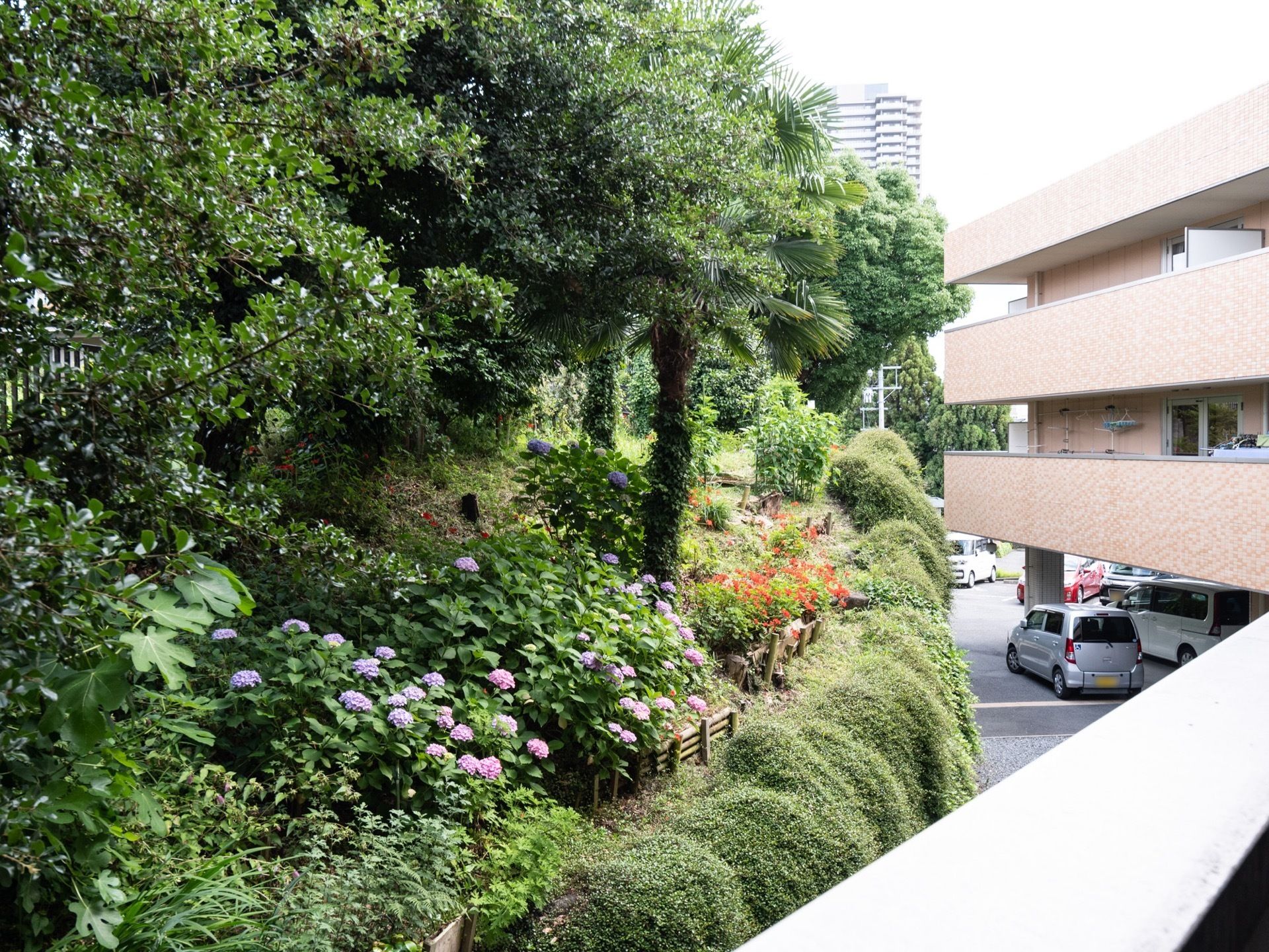 施設の横には緑の多い場所があり、樹木や紫陽花の花などを眺めることができる。自然を間近に感じながら過ごすことができる。