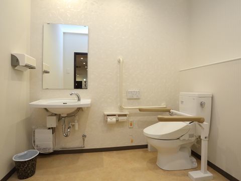 広々としたトイレには、洗面台がありペーパータオルやごみ箱が用意されている。手すりやナースコールもある。