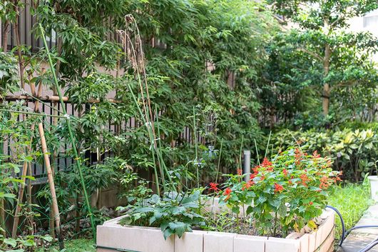 食堂横ベランダ