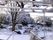 高木の落葉樹や低木に雪が積もっている。敷地にはベンチが置いてあり、手すりやカーブミラーが設置されている。