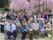 大勢の入居者様が２列になって、ピンク色に咲きほこるしだれ桜の下で写真撮影をしている。椅子や車椅子に腰を掛けている方がいる。