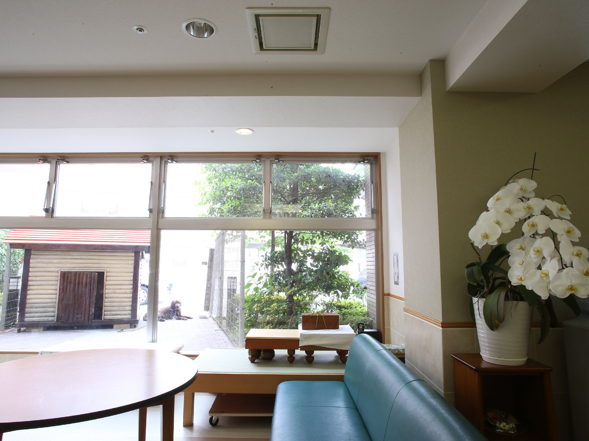 犬小屋の見える談話室には小さなあがりと将棋も用意されている。手前には円形のテーブルと青い革張りのソファもある。