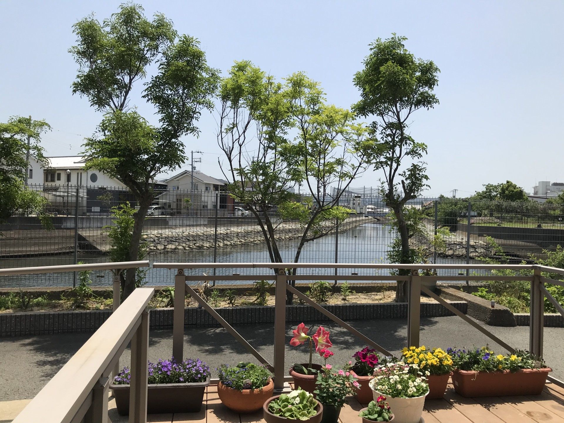 癒やしの庭園景観
