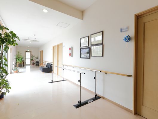 光が穏やかな廊下。"