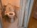 温水洗浄機付きトイレには手すりがついており、安心してご利用いただくことができる。居室とつながっているため、移動もすぐできる。