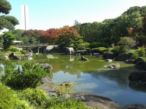 池の周りにはきれいに手入れされた木々や植物がある。緑の木々の中に紅葉した木も混ざり色彩豊かである。池には橋がかかっている。