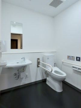 掃除が行き届いた清潔なトイレ。曇なく磨かれた鏡が心地いい。トイレ内には手洗い用シンクも設置されている。