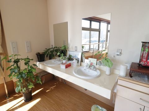 リビング兼食堂の一角にある洗面台。天板や足元などに、複数種類の観葉植物の鉢植えなどが多数飾られている。