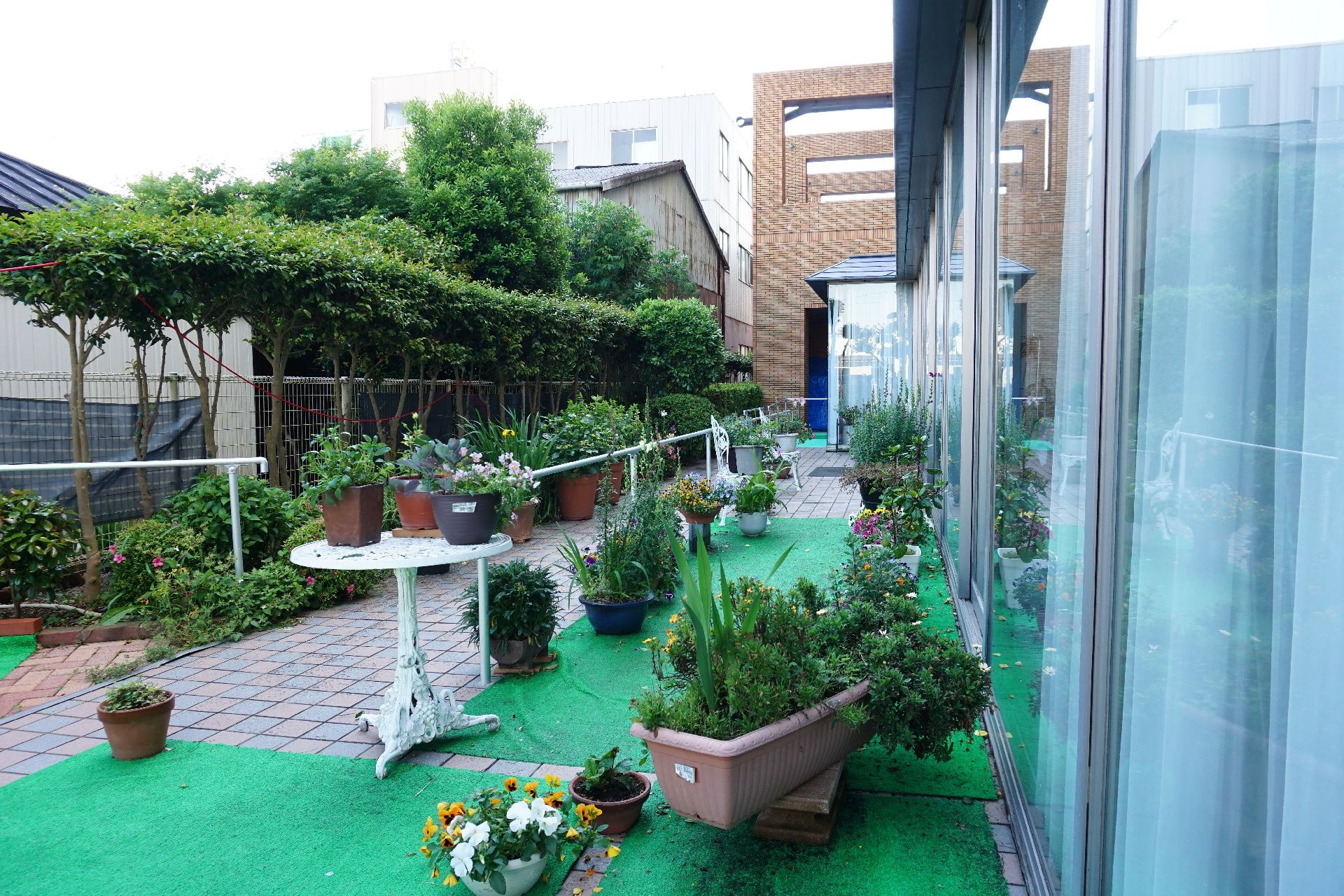 草花が植えられた鉢植えが並ぶ庭
