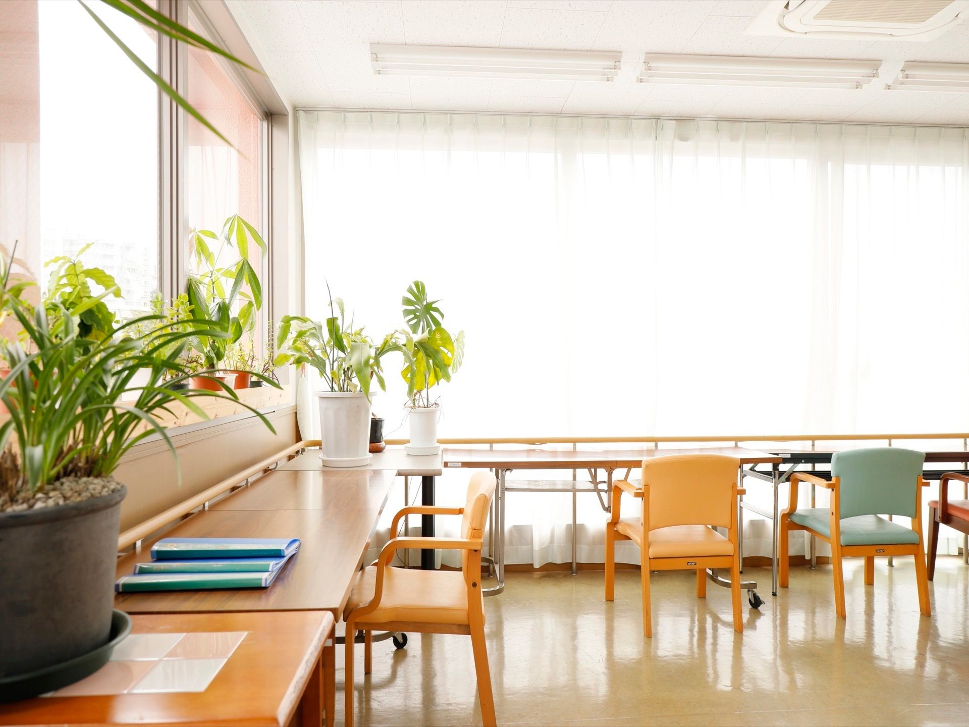 建物のコーナー部に共有スペースを設けている。二面にある大きな窓のそばに、長机と椅子、観葉植物が置かれている。