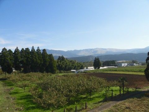 くまもと長寿苑そよ風シニアハウスの中庭。日差しをお楽しみいただけるよう、館内には大きな中庭がございます。