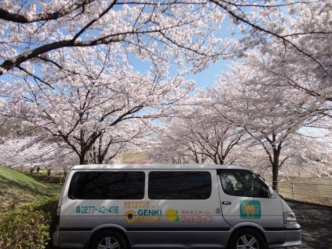 たくさんの桜の木の下で停車する、施設専用のワゴン車