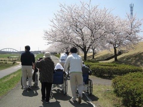 桜を見るために近くの土手に散歩に行くスタッフとご入居者様